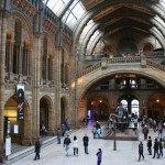 Natural History Museum